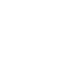 importexpo car show toronto