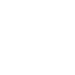 turo car rental